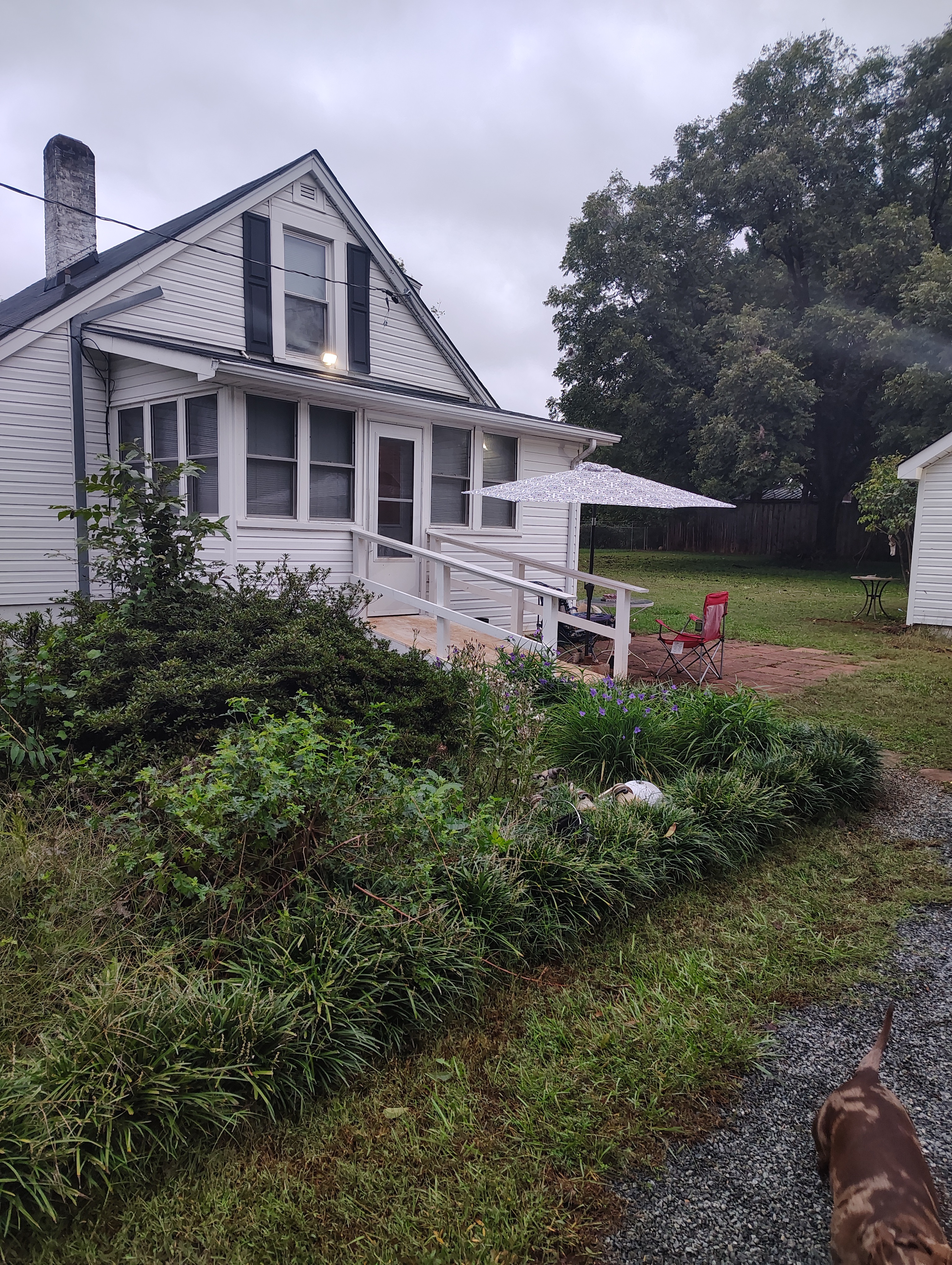 Siding Cleaning