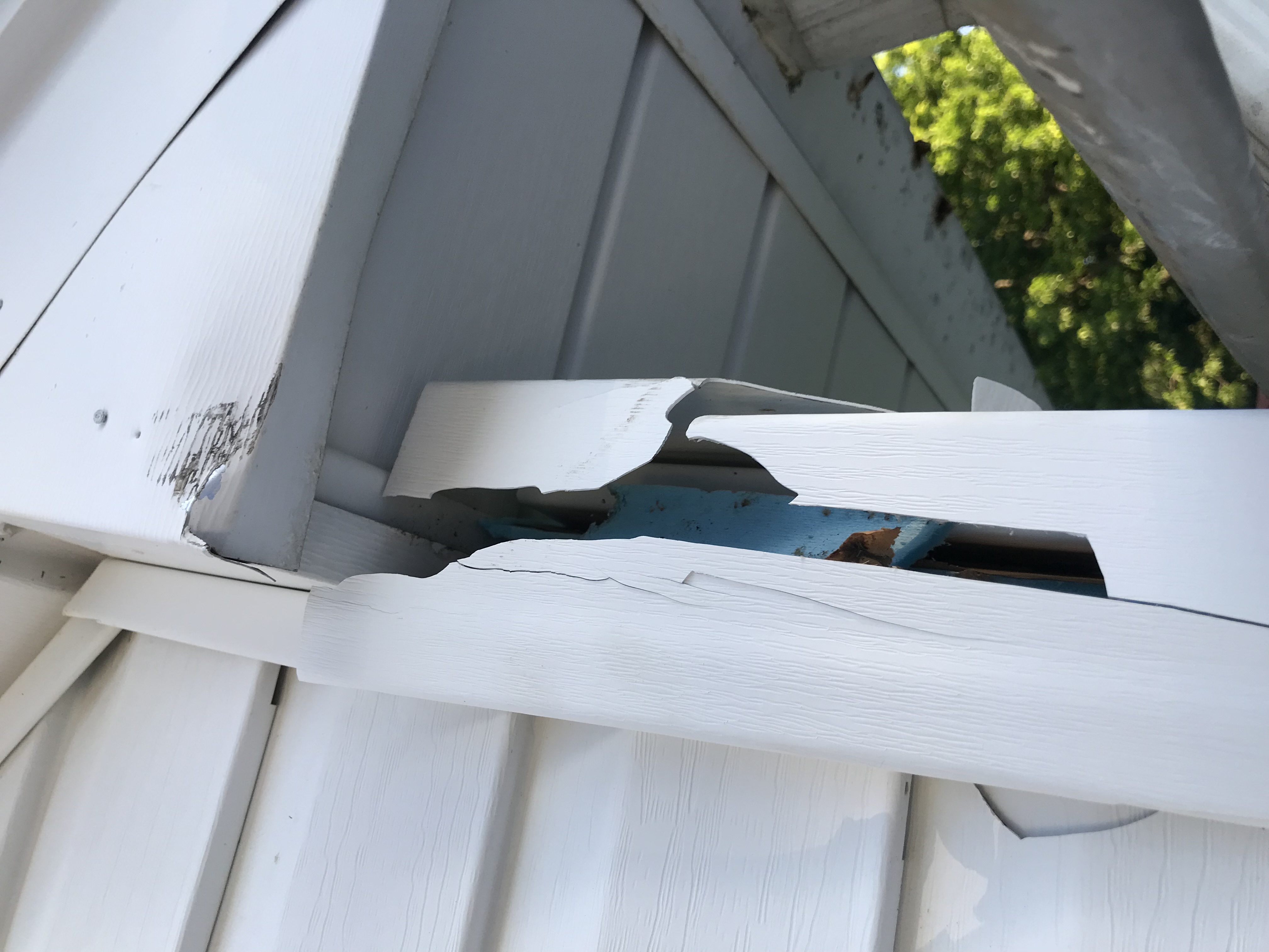 Electrical Repair